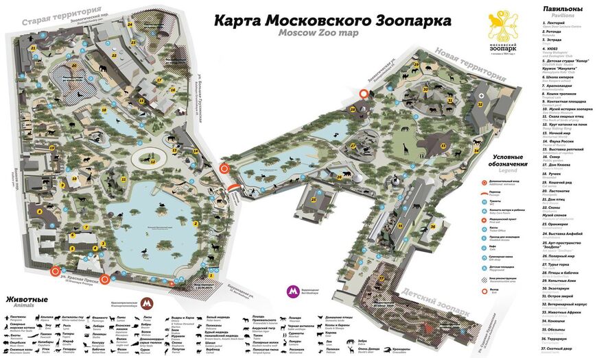 Зоопарк в москве. схема проезда на метро Зоопарк в москве. схема проезда на метро