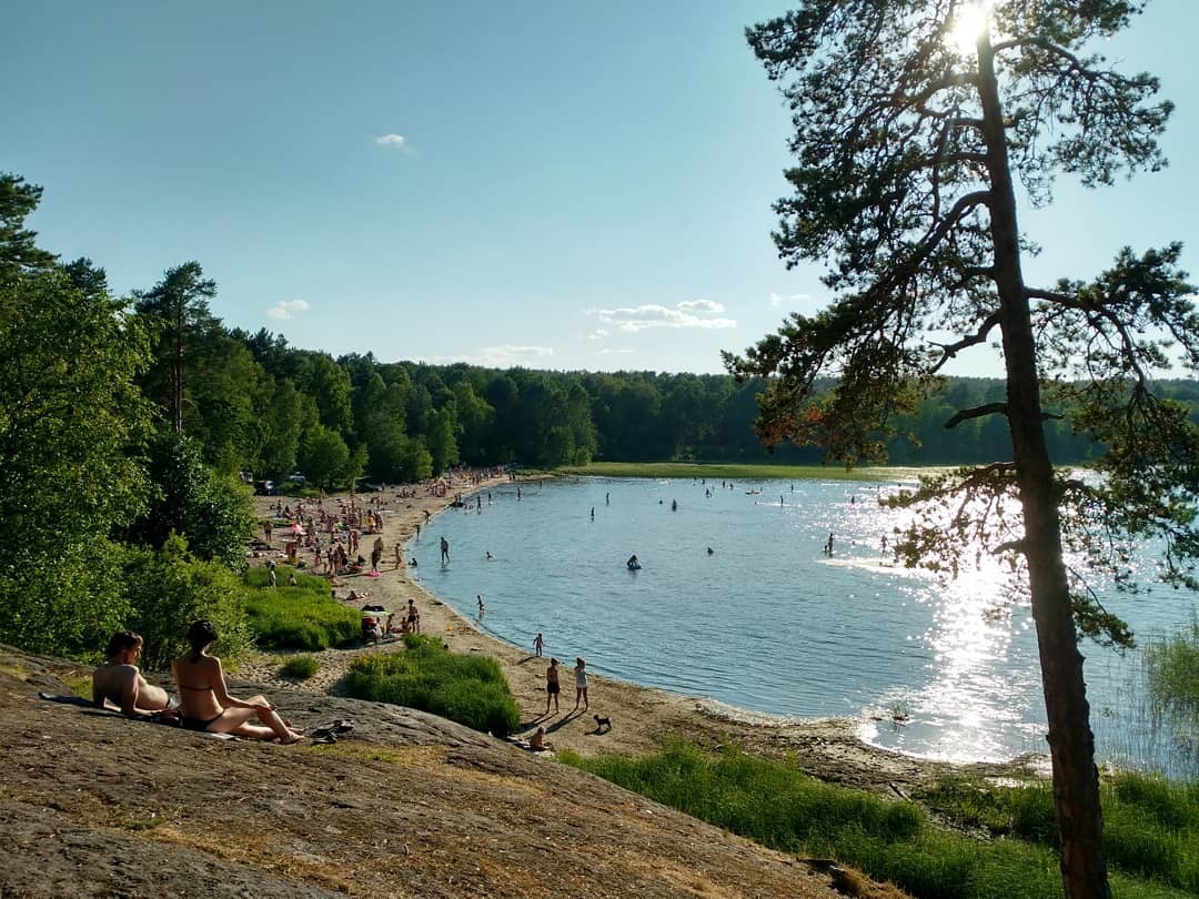 Жизнь на границе песка и воды Природа Карелии Дзен