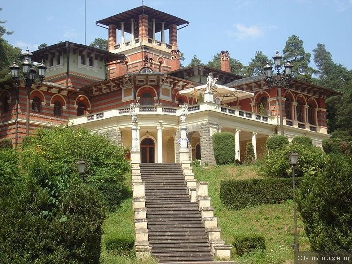 view