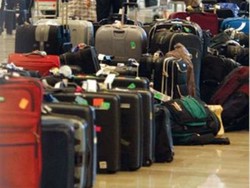 Американка перевезла в самолете 230 килограммов конопли Американка перевезла в самолете 230 килограммов конопли