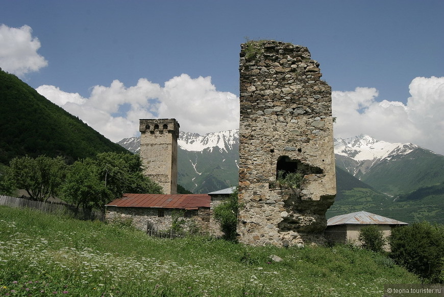 view