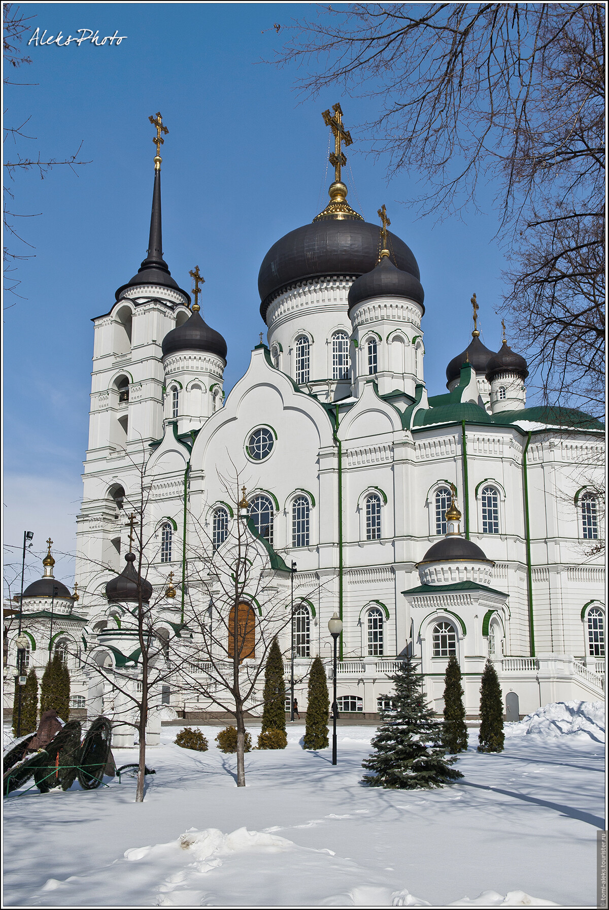 Благовещенский собор Воронеж зима