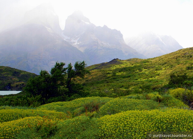 Красоты горного парка Торрес-дель-Пайн в Чили