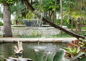 Майами. Ботанический сад Фэйрчайлд.