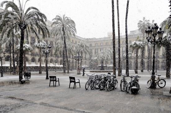 Самый холодный день в Барселоне…