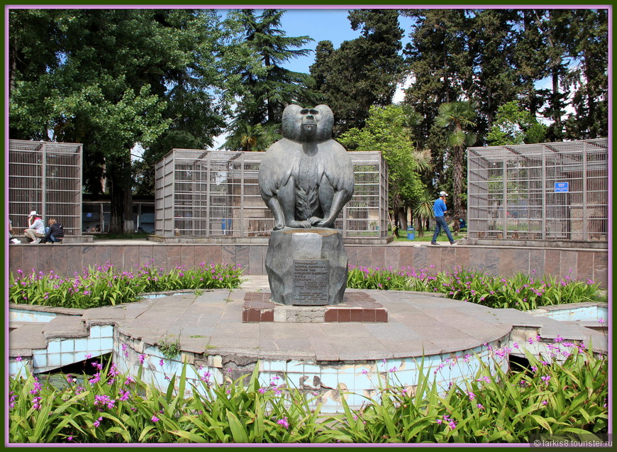 Абхазский фонтан впечатлений.