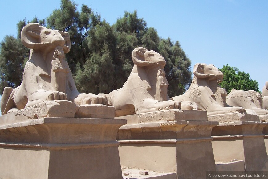 По Египту: Хургада - Бур-Сафага - правобережный Луксор
