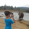 Питомник слонов в Пиннавале