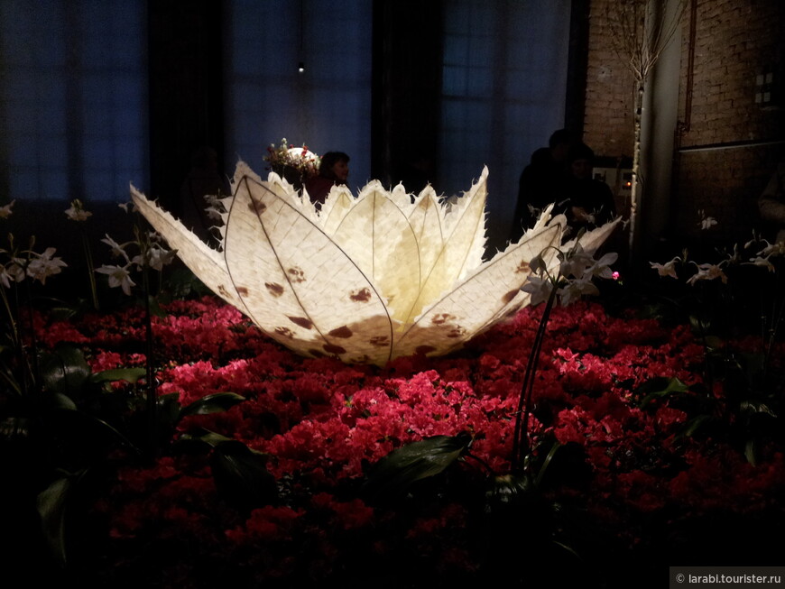 Дрезденская весна в Летнем дворце Большого сада (Dresdner Frühling im Palais im Großen Garten)