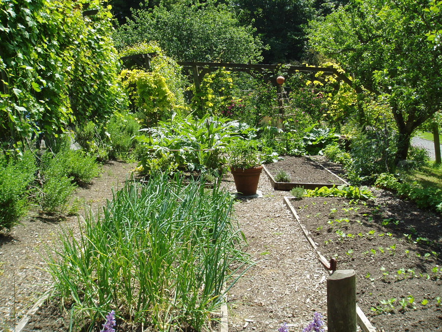 Коурнолл – самый красивый сад Британии