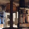 Музей оливкового масла в Чизано