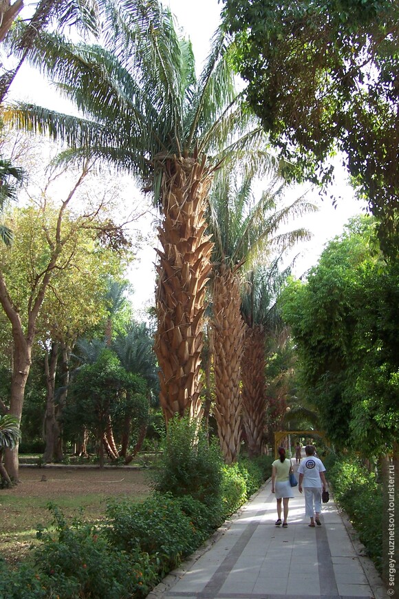 По Египту: Асуан — Ботанический сад на острове Китченера, Нубийская деревня и Храм Хатхор (Исиды) с острова Филэ