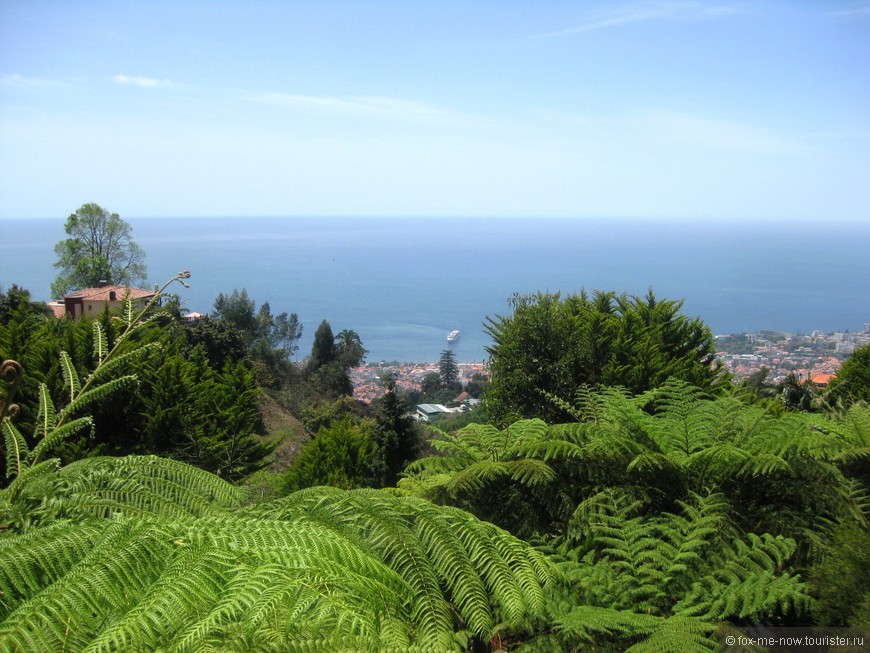 Вид со смотровой площадки Тропического сада 
