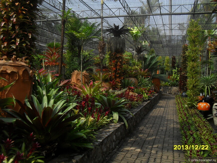 Тропический сад в деревне Нонг Нуч (Таиланд, Паттайя)