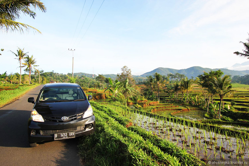 Малайзия и Индонезия: что нужно знать водителю