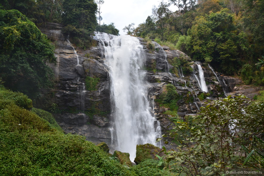 Новогодние прогулки по Doi Inthanon