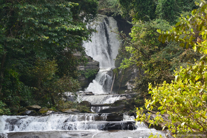 Новогодние прогулки по Doi Inthanon