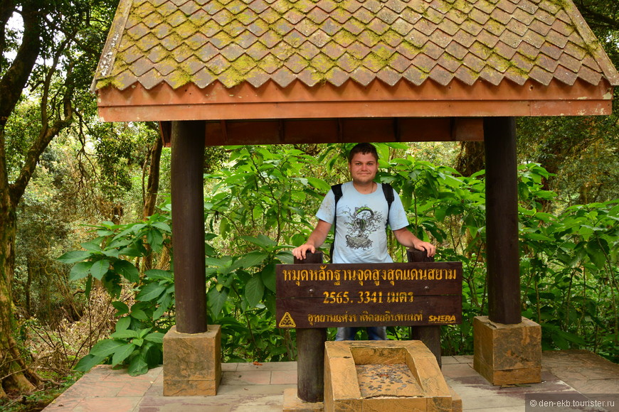 Новогодние прогулки по Doi Inthanon