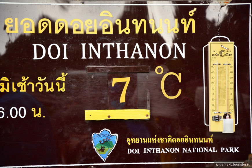 Новогодние прогулки по Doi Inthanon