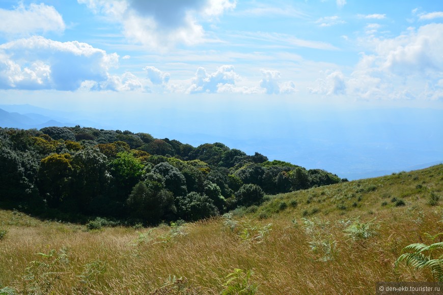 Новогодние прогулки по Doi Inthanon