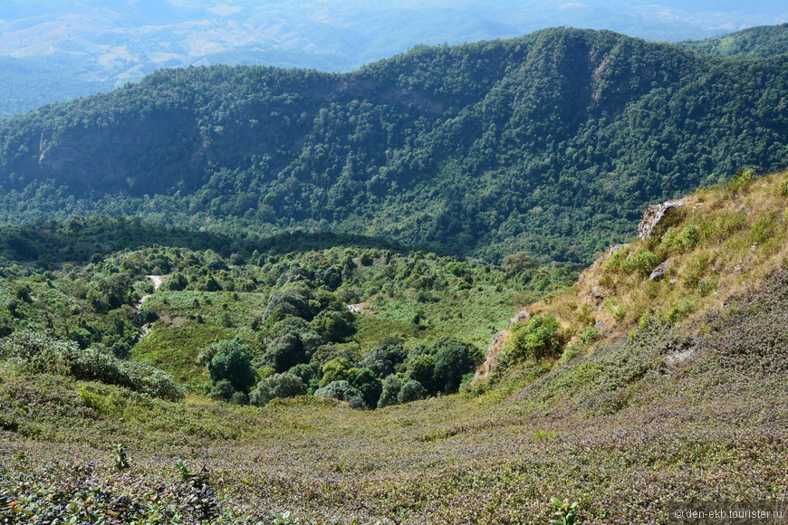 Новогодние прогулки по Doi Inthanon