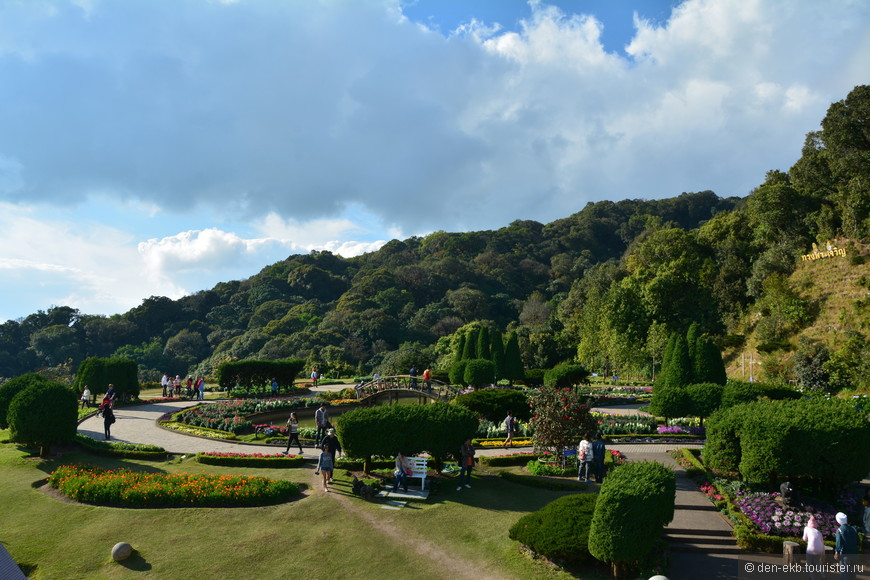 Новогодние прогулки по Doi Inthanon