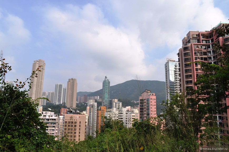 Гонконг — в тесноте, да не в обиде
