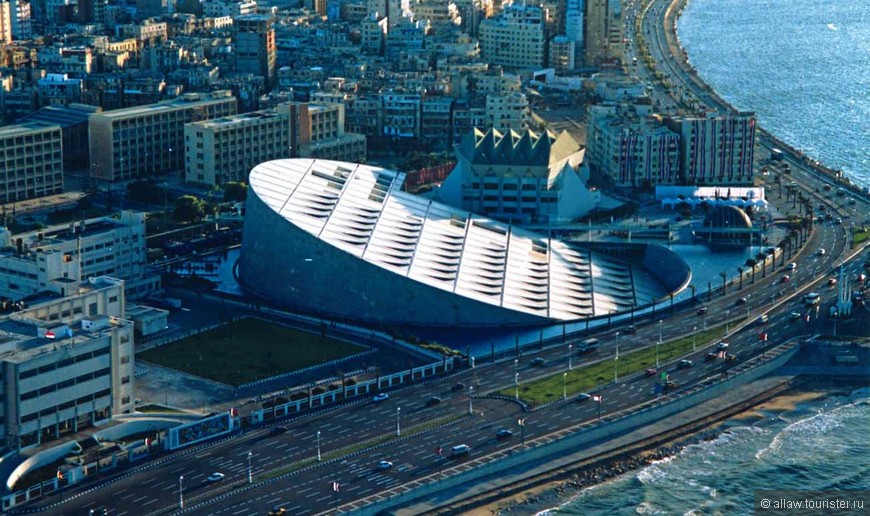 Новая Александрийская библиотека (фото из интернета)