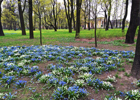 Весна в Петербурге. Михайловский сад