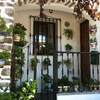 гордость андалузцев: фасады, балконы и патио всегда в цетах..