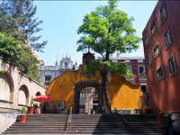 Прогулки по центру Мехико