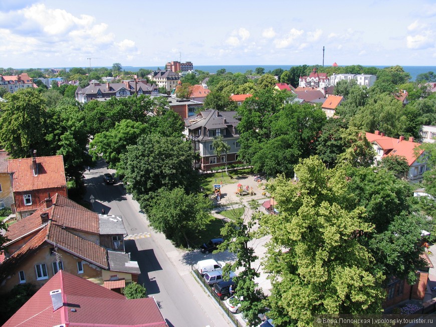 Вид на Зеленоградск со смотровой площадки музея Мурариум