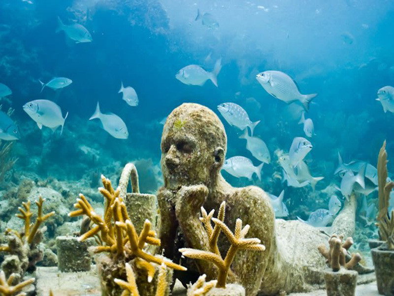 Рыбы в карибском море