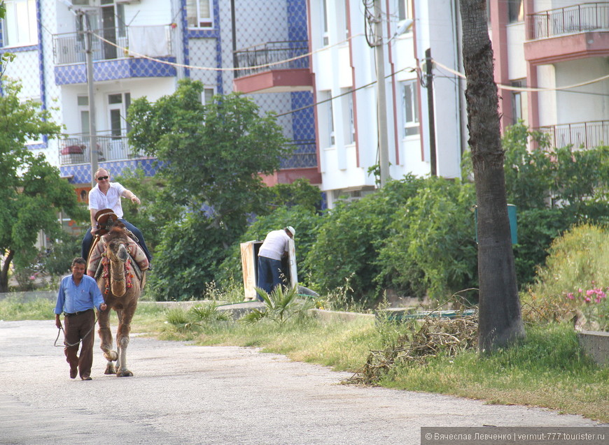 Приятно проехаться по Анталии на верблюде.