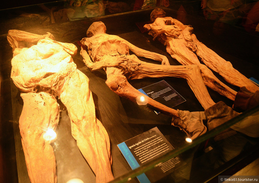 Музей Мумий в Гуанахуато