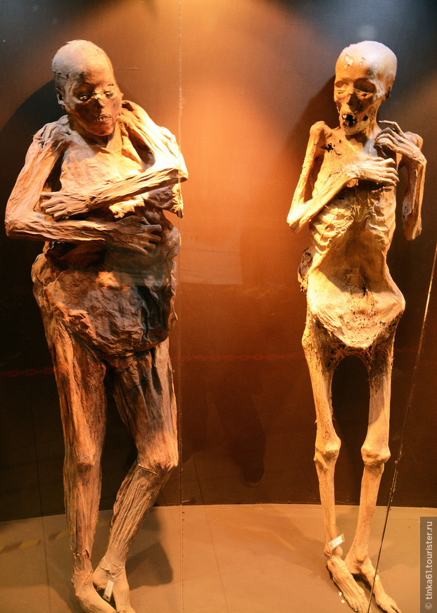 Музей Мумий в Гуанахуато