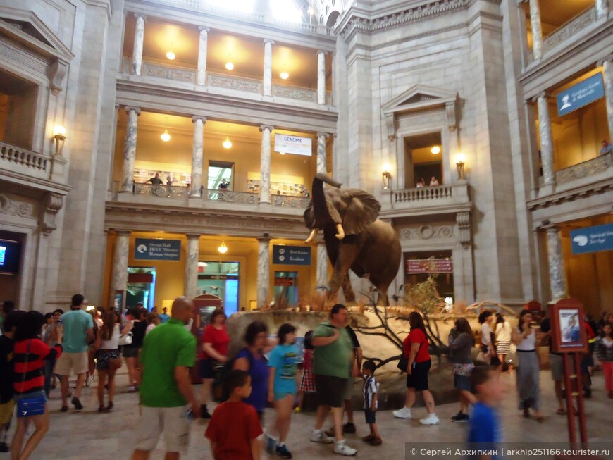 Национальный музей естественной истории в Вашингтоне