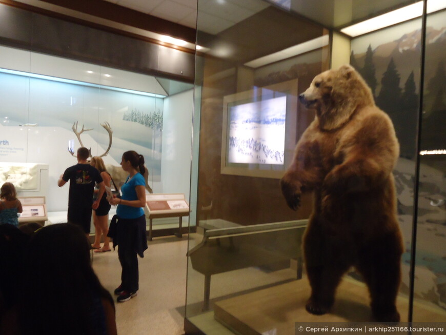 Национальный музей естественной истории в Вашингтоне