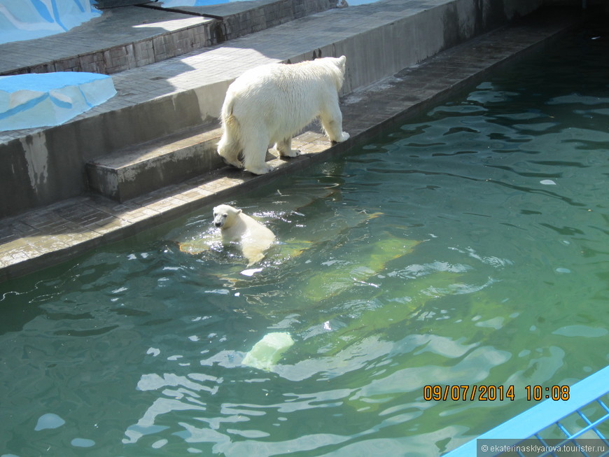 Новосибирский зоопарк.
