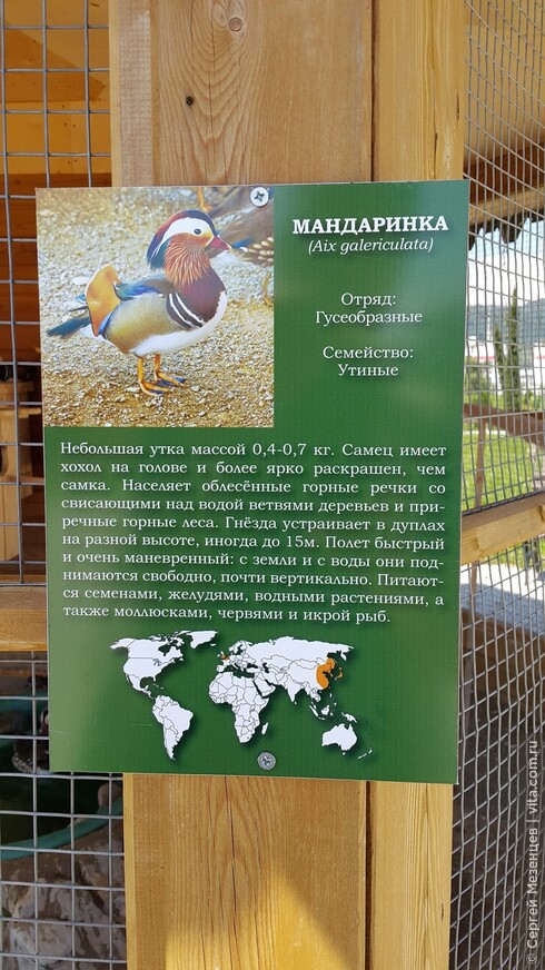 Природный орнитологический парк у Олимпийского парка. Сочи