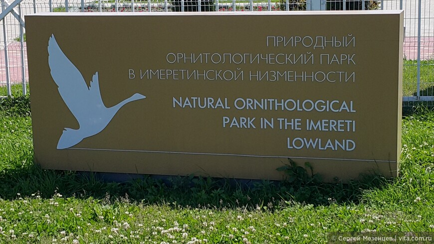 Природный орнитологический парк у Олимпийского парка. Сочи
