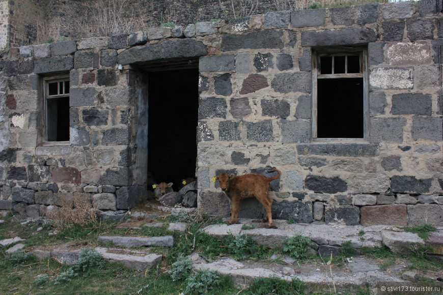 Грузия. Часть 4. К западу от Тбилиси. Гори, Ахалцихе, Вардзиа.