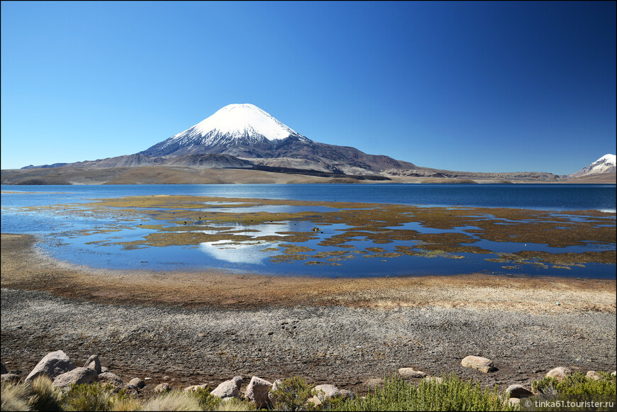 Озеро Чунгара  — квинтэссенция чилийского высокогорья