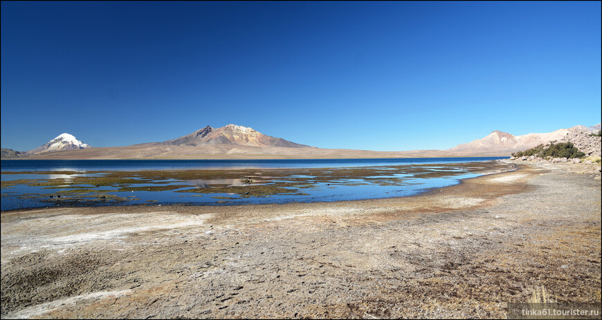 Озеро Чунгара  — квинтэссенция чилийского высокогорья