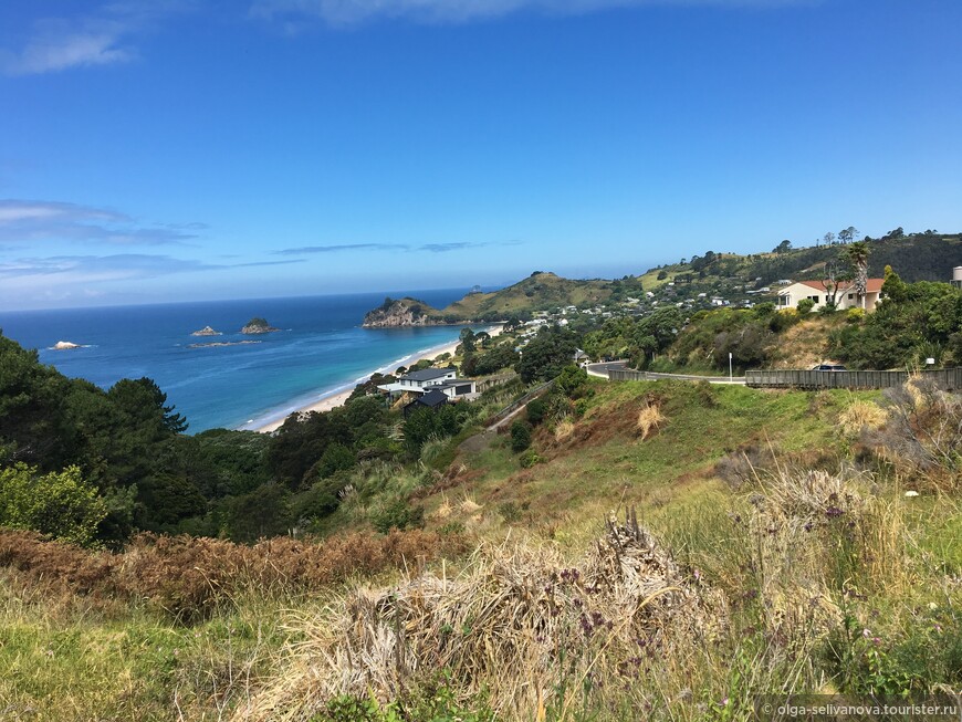 Путешествие по северному острову Новой Зеландии. 1 часть