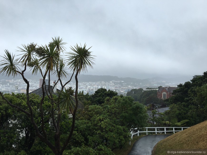 Point View Wellington