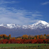 Виноградники долины Майпо в Чили