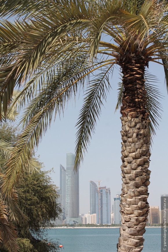 Пальмы и вид на центр Абу-Даби из деревни Наследия