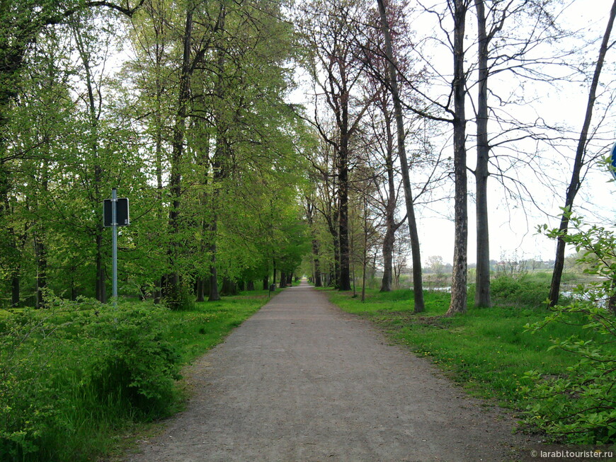 Саксония: Требзен (Trebsen) — старинный городок с живописным замком