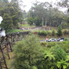 Нац парк Данденонг на 3-х дневном туре из Мельбурна